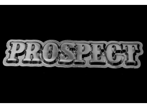 Prospect Pin