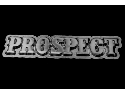 Prospect Pin