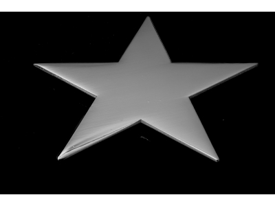 Silver Star Pin