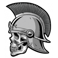 Roman Skull Patch