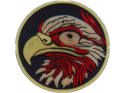 Eagle Eye Iron on Patch