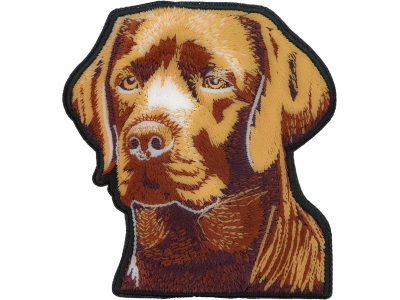 Labrador Dog Patch