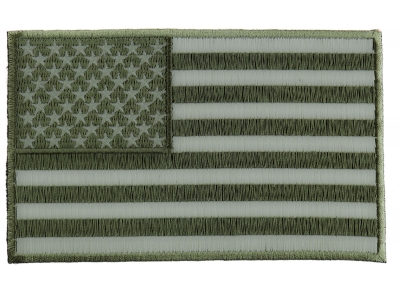 Subdued Green American Flag Patch