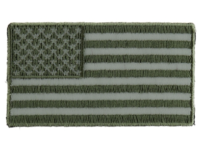 US Flag Patch Earth Green 2.5 Inch