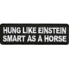 Hung Like Einstein Smart As A Horse Patch