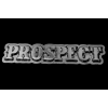 Prospect Pin