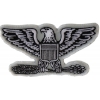 Colonel Eagle Insignia Patch