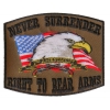 Never Surrender 2nd Amendment Patch In Army Green Color | US Military Veteran Patches