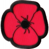 Poppy Patch