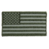 US Flag Patch Earth Green 2.5 Inch