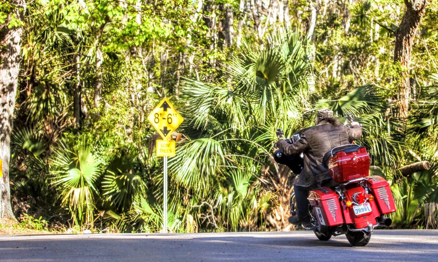 Nature Motorcycle Riding Photos