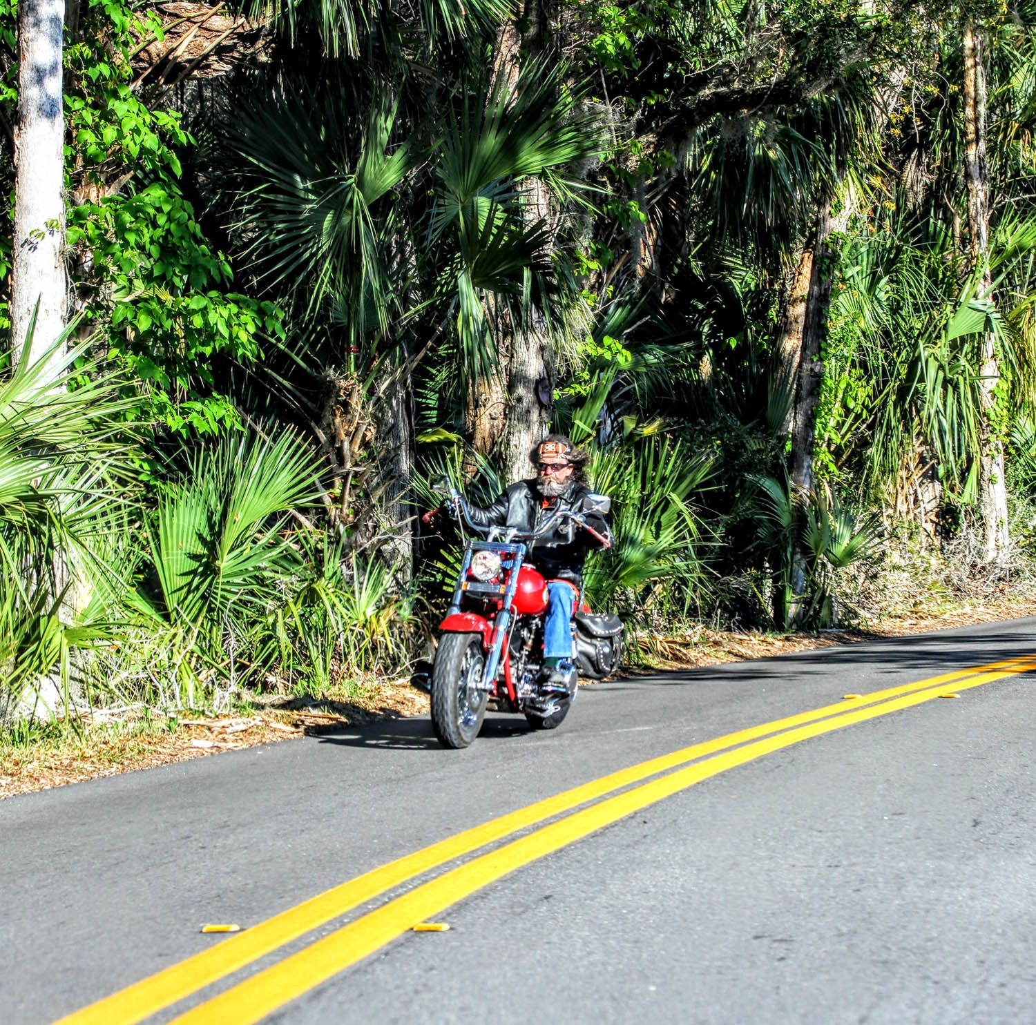 Nature Motorcycle Riding Photos