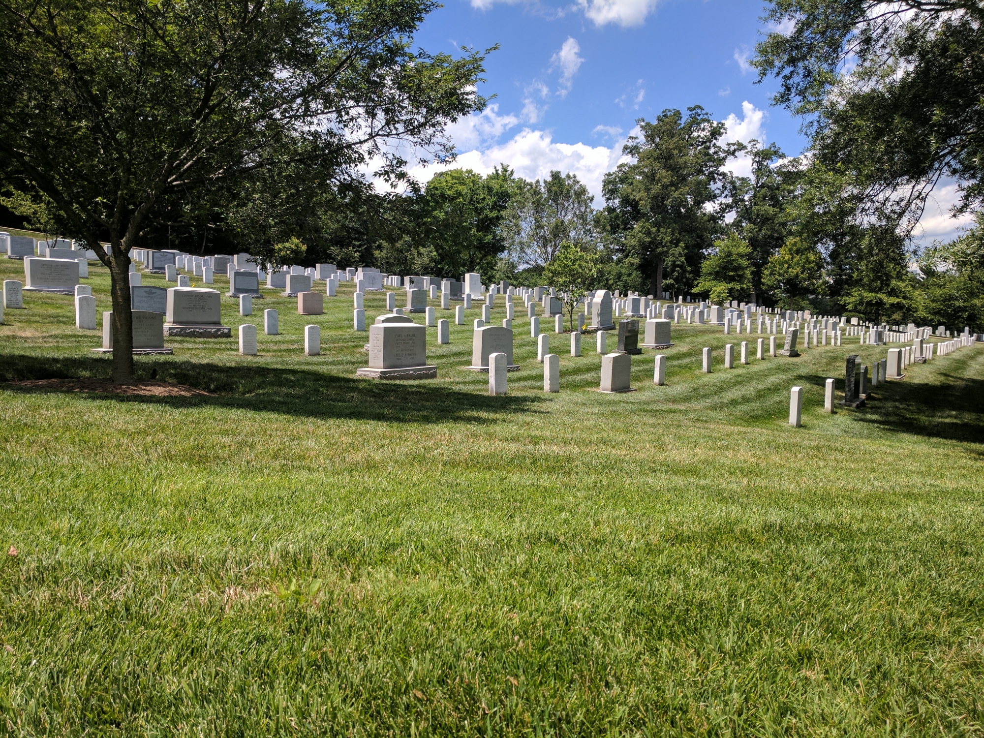 Tribute to the Arlington National Cemetery