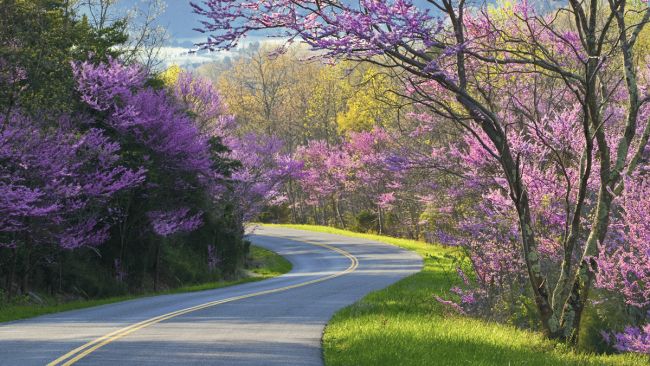 Ring in Scenic Locations, Blue Ridge Parkway